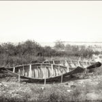 Black-and-white photo of birch bark canoes