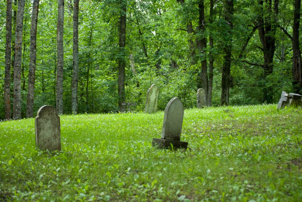 Cemetery in field, forest